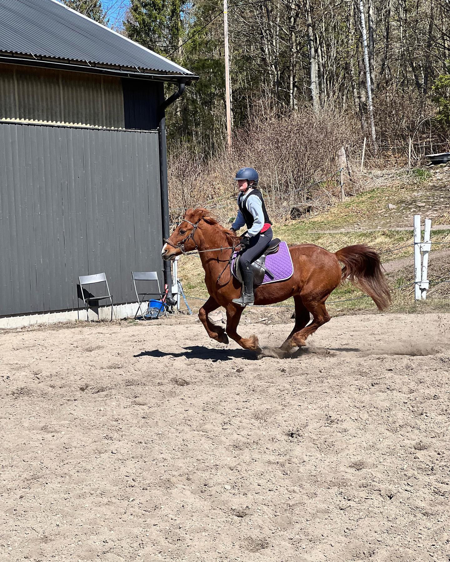 Barn som rir på hest under gymkhan i barnebursdag på Grorud Gård Rideskole i Andebu