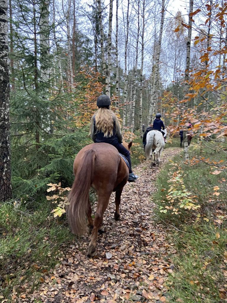 Barn og unge på ridetur i skogen rundt Grorud Gård Ridesenter i Andebu