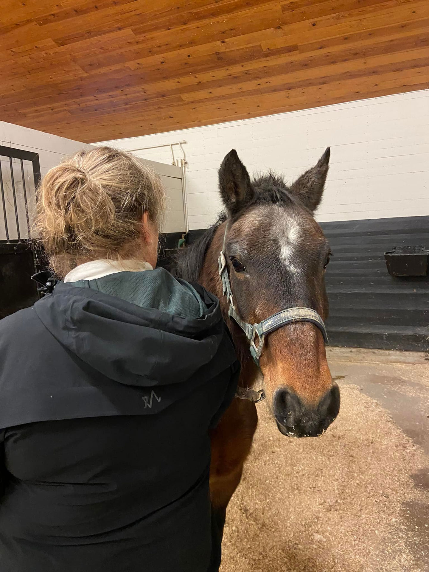 Rytter står med ryggen til kamera mens hun steller med en brun hest i en stallboks